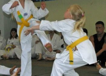 Dorffest_Taekwondo1